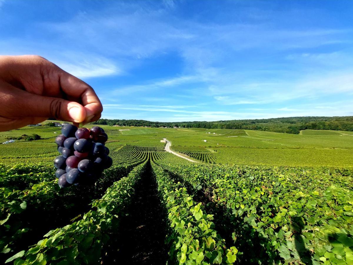 Epernay Capital De Champagne Leilighet Eksteriør bilde