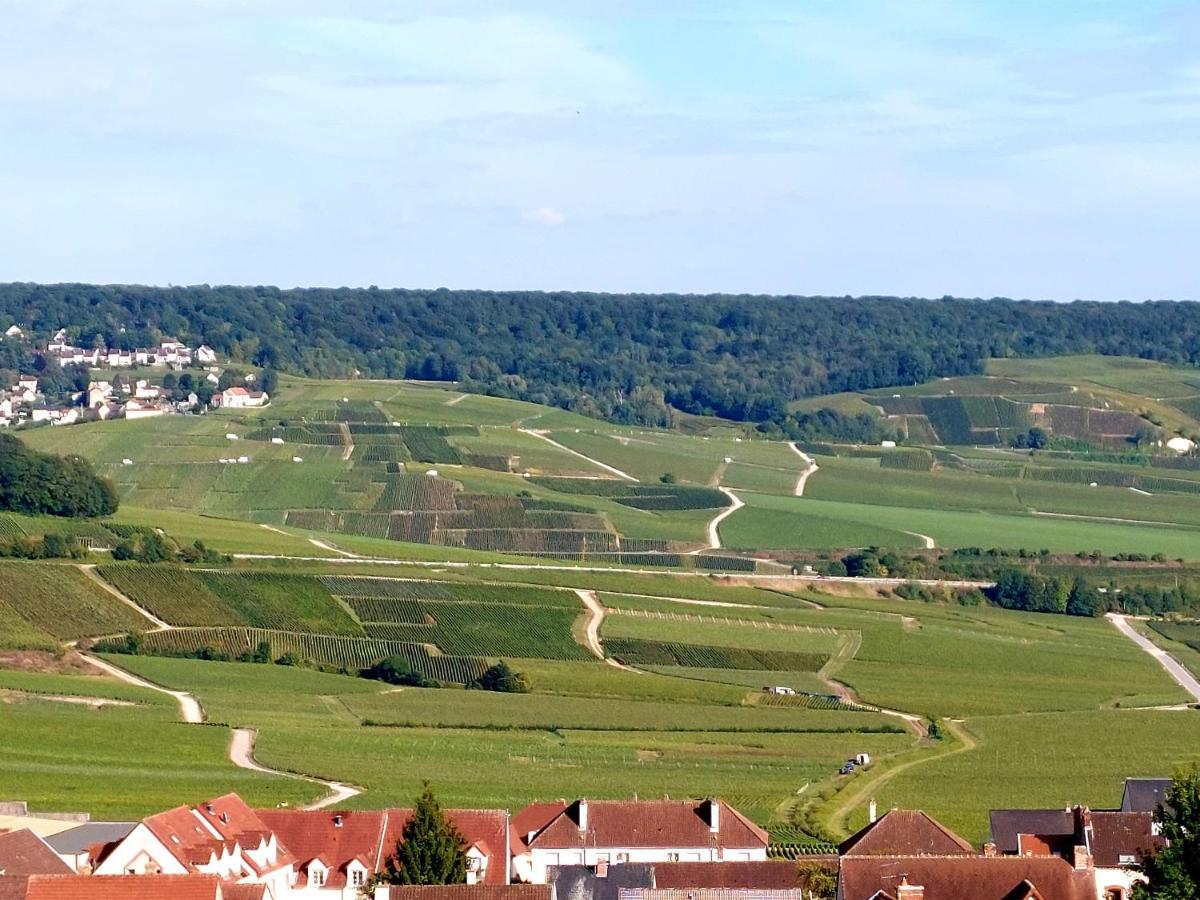 Epernay Capital De Champagne Leilighet Eksteriør bilde